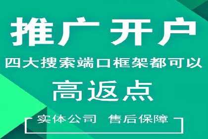 网络营销新篇章：竞价推广案例分析